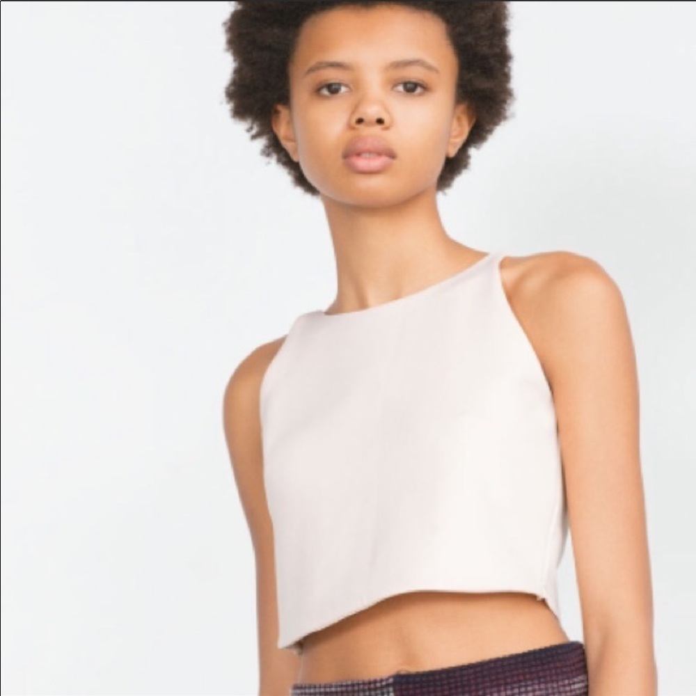 Zara Nude/Pink High Neck Crop Top